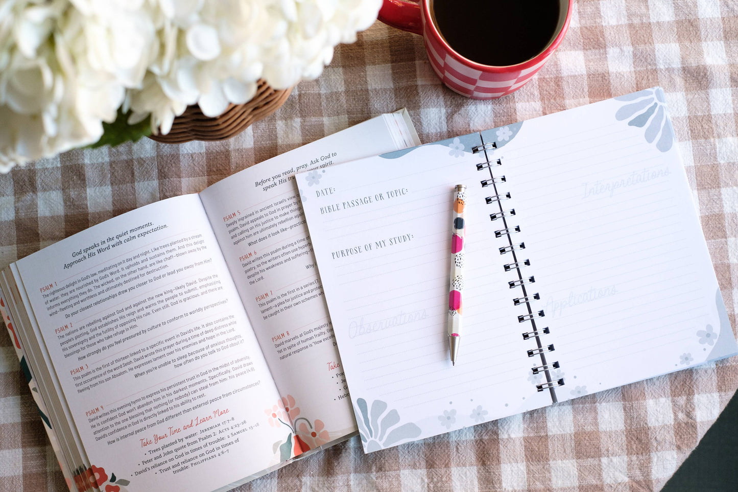 *Pre-Order* Spring Sweatshirt Pack!