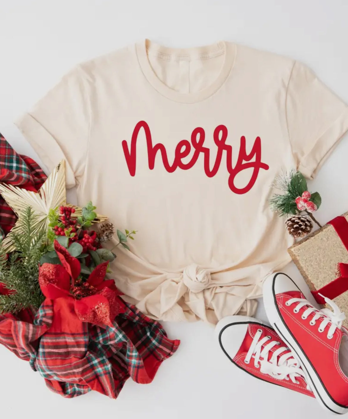 Jesus is the Reason Tee - Cream (Only S Left)